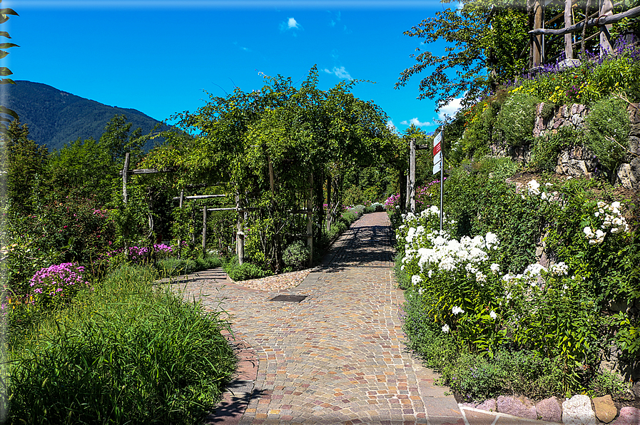 foto Giardini Trauttmansdorff - Paesaggi dell'Alto Adige